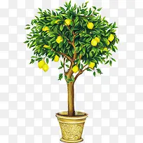 彩绘绿色树枝果实大树-空若网 彩绘绿色树枝果实大树-空若网