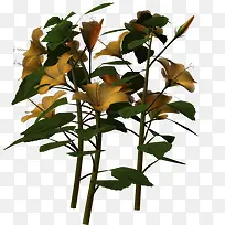 ��ɫֲ�ﻨ����֦-������