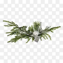 树枝绿色树枝装饰-空若网 树枝绿色树枝装饰-空若网