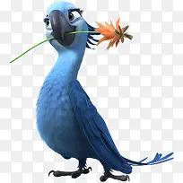 卡通鹦鹉绿色树枝-空若网 卡通鹦鹉绿色树枝-空若网