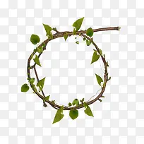 ��ɫ��֦����-������