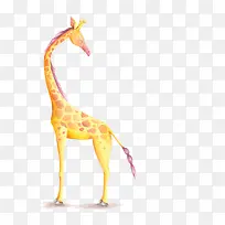 卡通手绘水彩长颈鹿-空若网 卡通手绘水彩长颈鹿-空若网