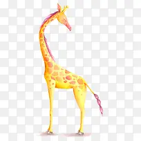 ��ͨ����¹-������