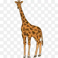 卡通手绘长颈鹿-空若网 卡通手绘长颈鹿-空若网