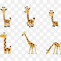 �ֻ泤��¹-������