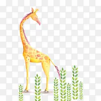 �ֻ濨ͨ-������