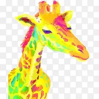 长颈鹿-空若网 长颈鹿-空若网