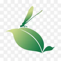 动物-空若网 动物-空若网