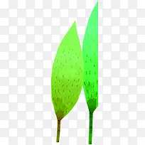 卡通手绘绿色叶子-空若网 卡通手绘绿色叶子-空若网