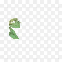 绿色叶子手绘叶子卡通叶子-空若网 绿色叶子手绘叶子卡通叶子-空若网