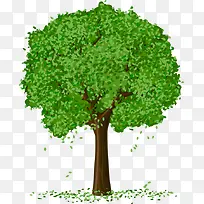 ��ͨ����ɫҶ��-������