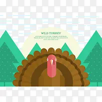 野生动物食品家禽-空若网 野生动物食品家禽-空若网