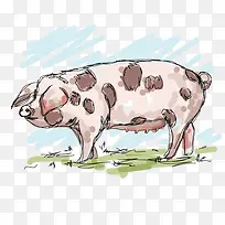 ˮ��С��-������