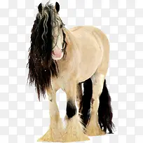 水彩小马-空若网 水彩小马-空若网