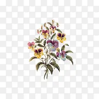 彩绘树画画-空若网 彩绘树画画-空若网