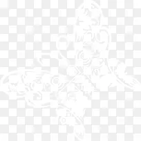 ��ɫΨ���������-������