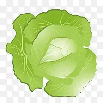 �����߲˰ײ�-������