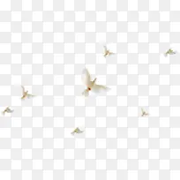 白色唯美飞行白鸽-空若网 白色唯美飞行白鸽-空若网