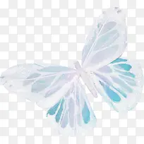 白色美丽蝴蝶-空若网 白色美丽蝴蝶-空若网