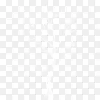 白色唯美冬日树木-空若网 白色唯美冬日树木-空若网