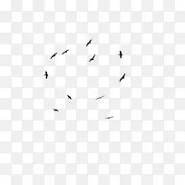 鸟类黑白贴纸摄影-飞鸟-空若网 鸟类黑白贴纸摄影-飞鸟-空若网