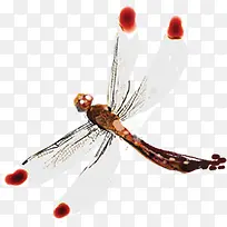 手绘唯美白色蜻蜓-空若网 手绘唯美白色蜻蜓-空若网