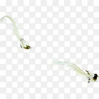 白色鱼儿唯美绘画-空若网 白色鱼儿唯美绘画-空若网