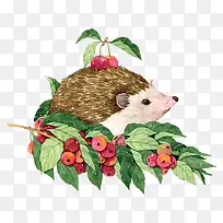 彩色刺猬花朵图案-空若网 彩色刺猬花朵图案-空若网