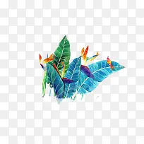 ��ɫҶ��-������