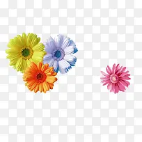 唯美彩色花-空若网 唯美彩色花-空若网