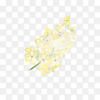 ��ɫ�ֻ�Ļƻ�-������