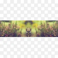 春季背景-空若网 春季背景-空若网