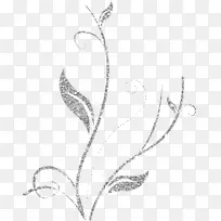 摄影轻贴-空若网 摄影轻贴-空若网