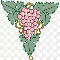 普通葡萄叶葡萄-空若网 普通葡萄叶葡萄-空若网