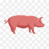 ��ͨ��PNG����-������