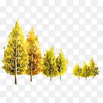 杨树-空若网 杨树-空若网