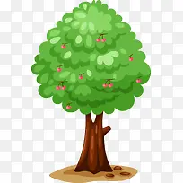 动画树-空若网 动画树-空若网