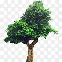 ��-������