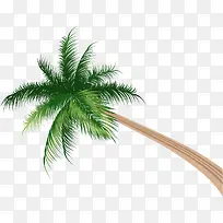 仰视槟榔树-空若网 仰视槟榔树-空若网