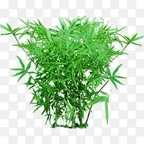 高清创意摄影绿色树木设计-空若网 高清创意摄影绿色树木设计-空若网