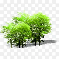 ������Ӱ��ɫ�ݱ���ľ-������