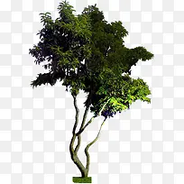 创意摄影绿色高清树木-空若网 创意摄影绿色高清树木-空若网