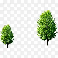 绿色树木高清摄影创意合成-空若网 绿色树木高清摄影创意合成-空若网