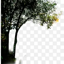 高清摄影风格复古绿色树木-空若网 高清摄影风格复古绿色树木-空若网