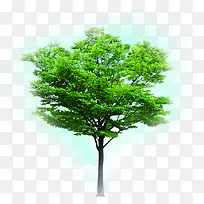 绿色植物树木设计-空若网 绿色植物树木设计-空若网