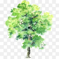 手绘绿色树木食品图片-空若网 手绘绿色树木食品图片-空若网