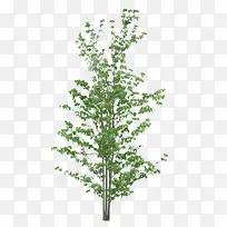 创意摄影绿色的树木-空若网 创意摄影绿色的树木-空若网