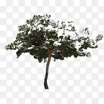 高清摄影创意合成绿色的树木-空若网 高清摄影创意合成绿色的树木-空若网