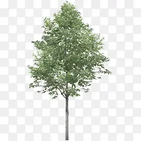 ����-������