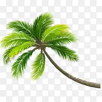 夏日 绿树 凉爽-空若网 夏日 绿树 凉爽-空若网